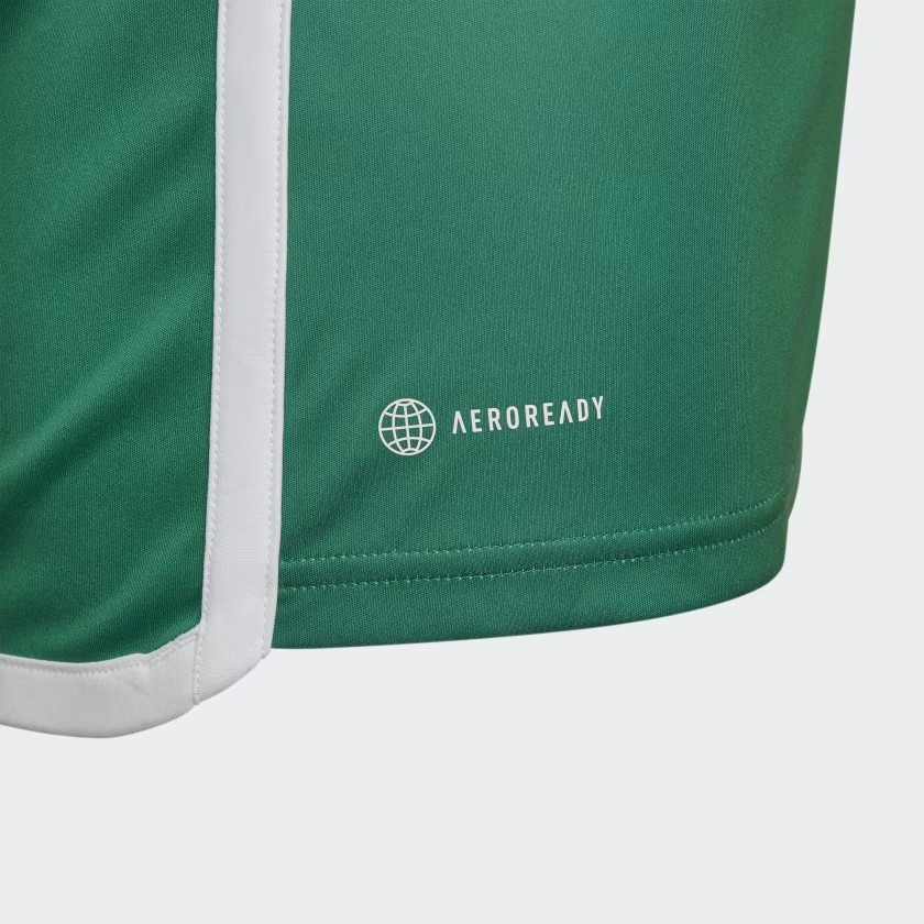 Maillot de football Algérie Domicile [Livraison 10-13 jours]