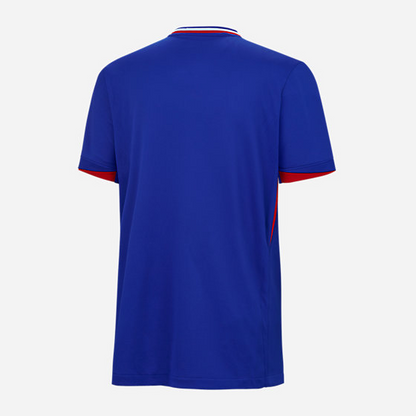 Maillot de football homme France domicile Euro 2024 [Livraison 10-13 jours]